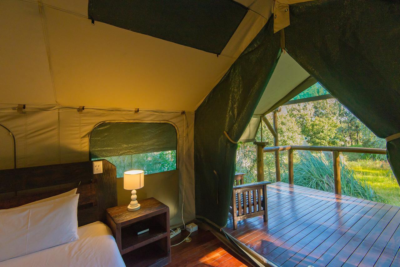 Amadwala Lodge Roodepoort Rum bild