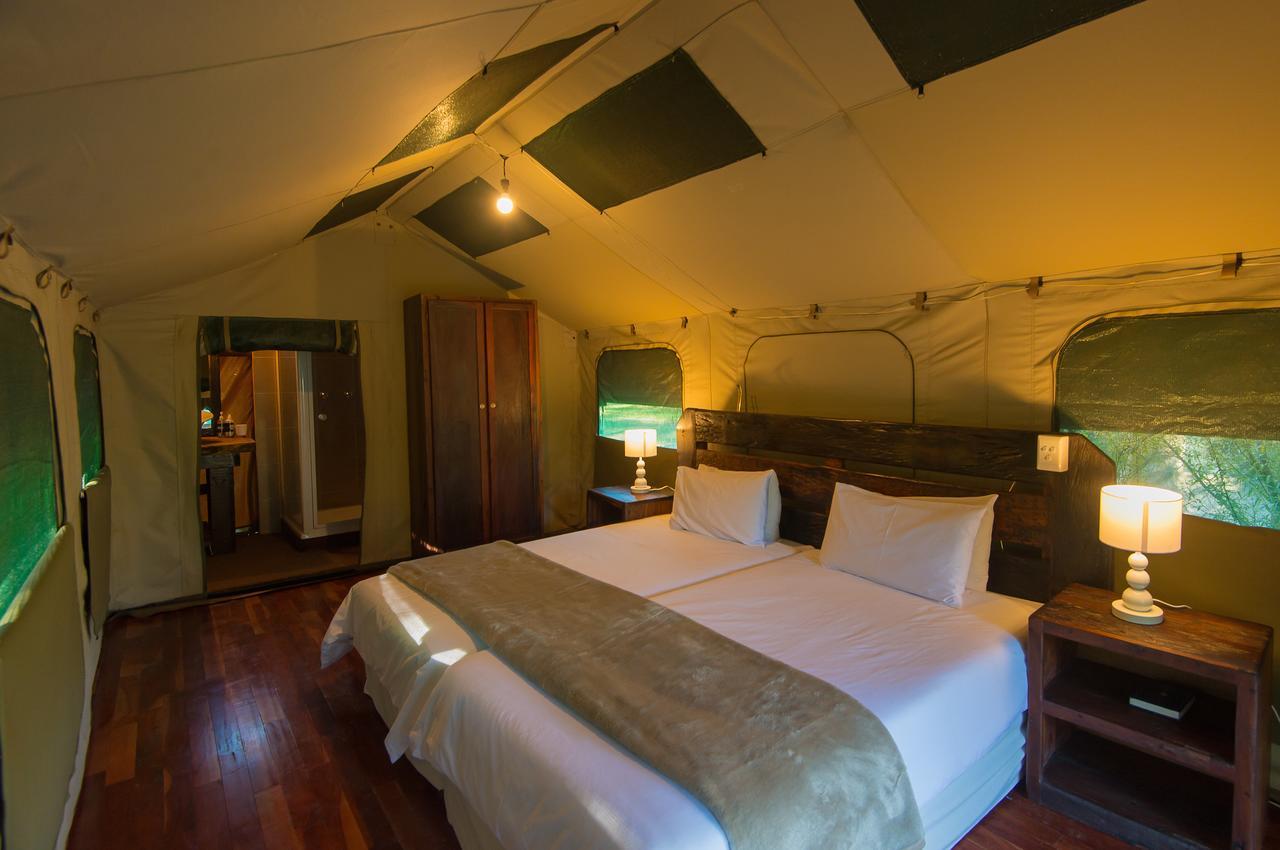 Amadwala Lodge Roodepoort Rum bild